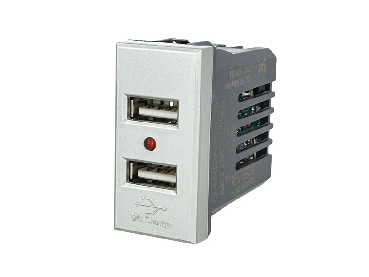 SANDASDON Modulo Caricatore 2 Porte USB 2,1A Silver Compatibile Bticino Axolute
